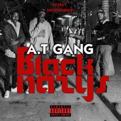 AT GANG - NASI_015728.mp3