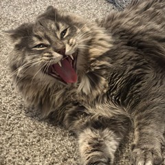 High again - $alvo - TWOLiPP