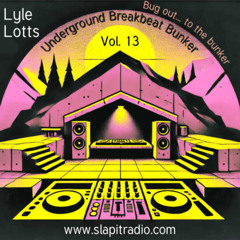 The Breakbeat Bunker Vol. 13