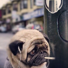 tremolaa (prod.by atom100 + ffadyrlfk)