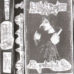 Leichnam, der Geschaendete - Alt, grohzelisch Hex (Full Album)