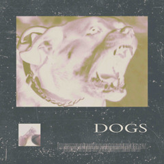 dogs