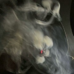 CLEAREST INTENT (kiri)