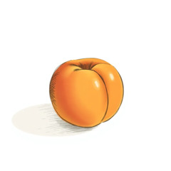 Peach perfection in my skin