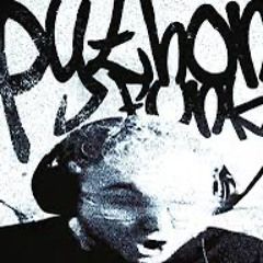 RD12 - PHYTON FUNK (super slowed)
