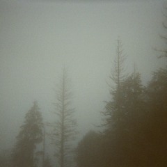 Sonhan _ 070222 - is anybody here?  #1