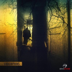 Endorphins (ft.Deep Silencio)