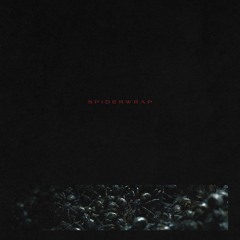 Spiderwrap - "Submersion" Ad Infinitum