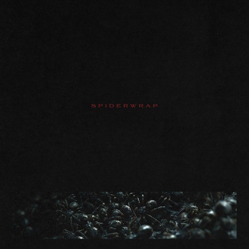 Spiderwrap - "Submersion" Ad Infinitum