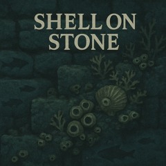 Shell on Stone