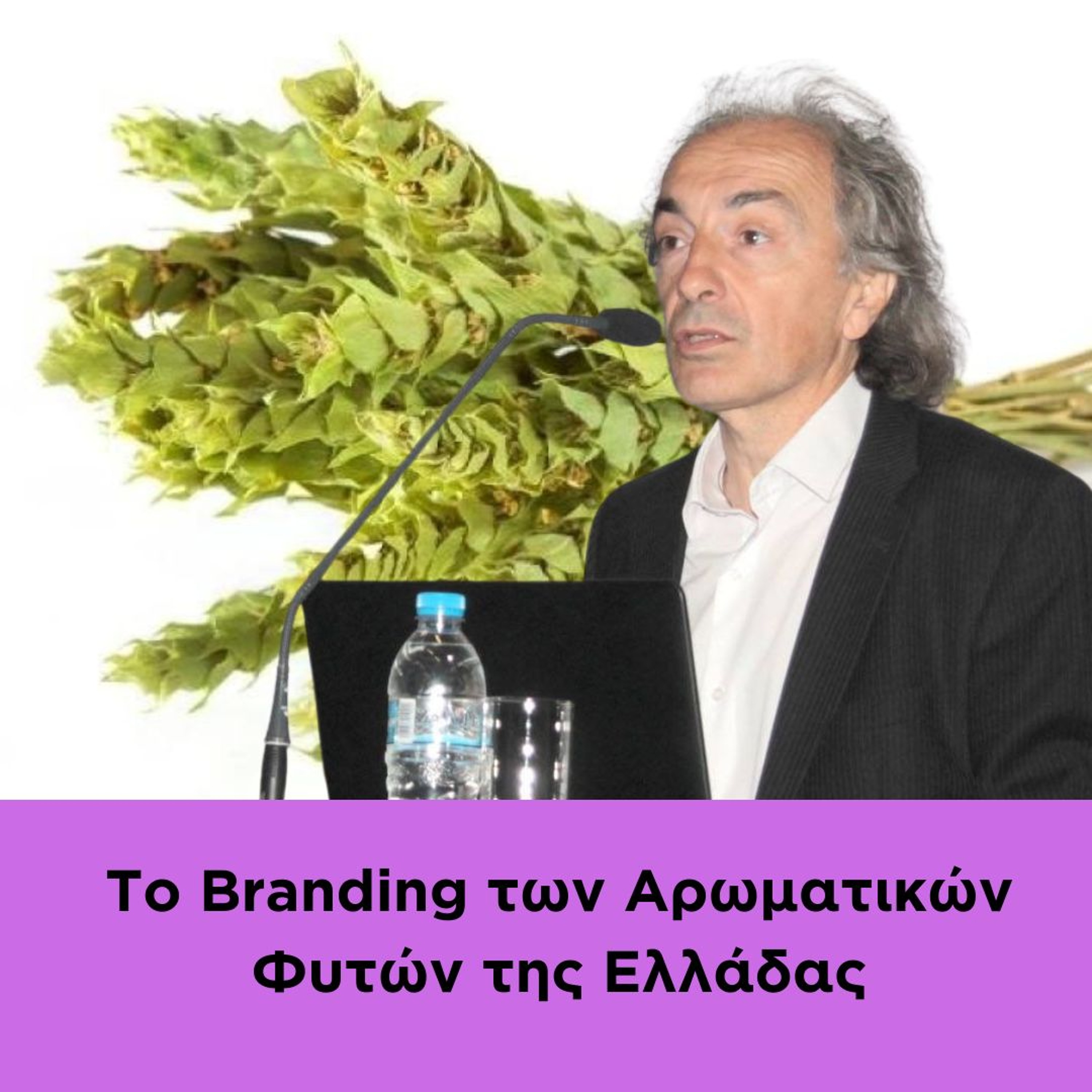 Το Branding Των Αρωματικών Φυτών Της Ελλάδας - Keynote Speach Χρήστου Δ. Κατσάνου episode artwork