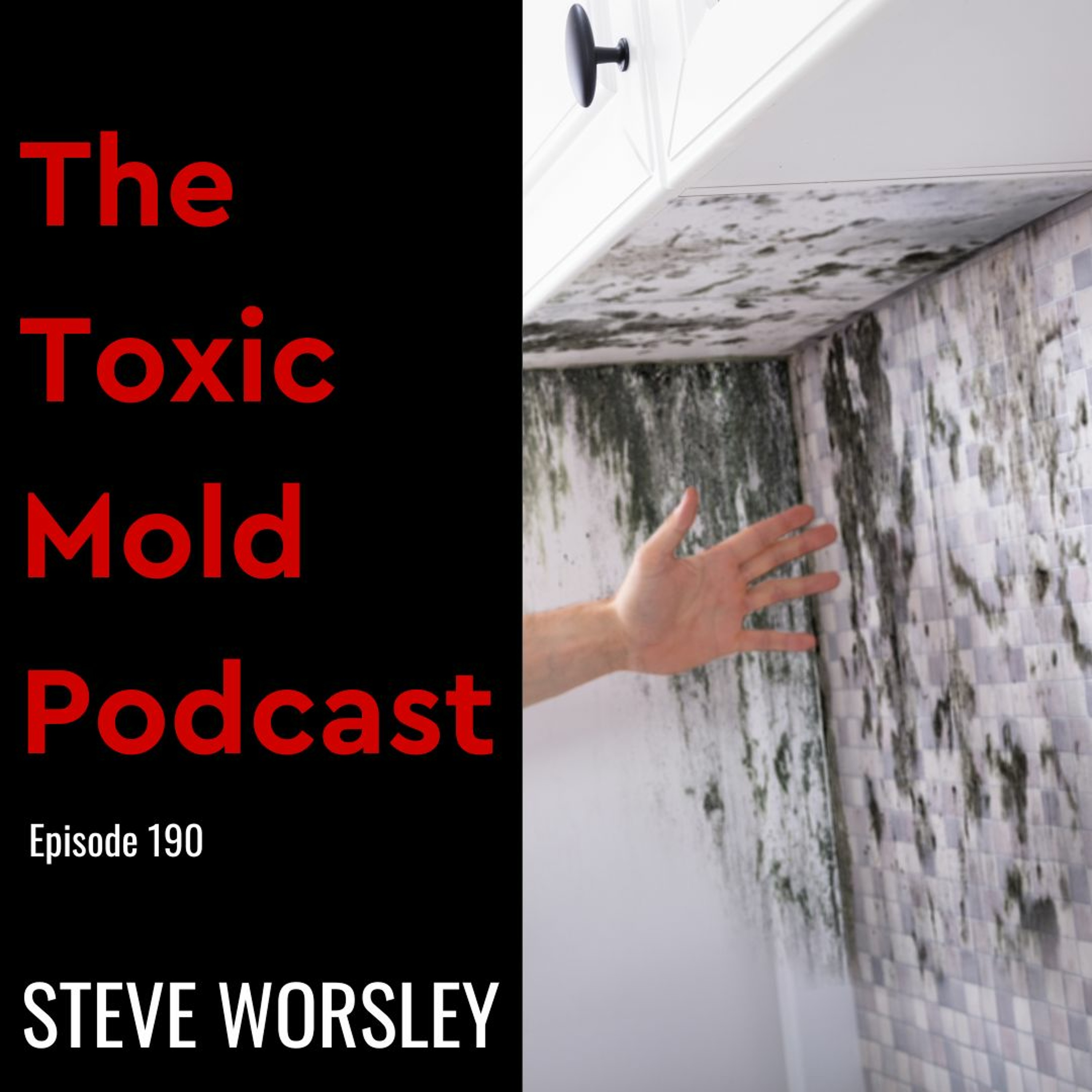 The Toxic Mold Podcast