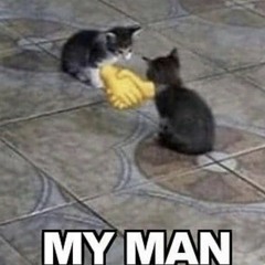 SOSMULA - SANCTIONED (9-5)