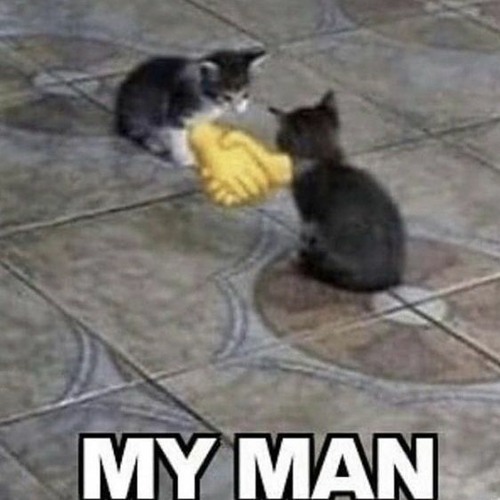 SOSMULA - SANCTIONED (9-5)