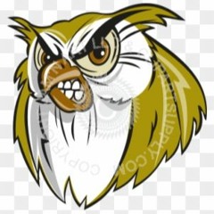 Glaucidium