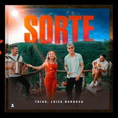 Triou - Sorte (4SH4KY Remix)