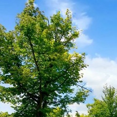 it has all become so clear to me now