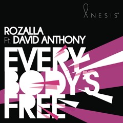 Everybody's Free (Radio Edit) [feat. David Anthony]