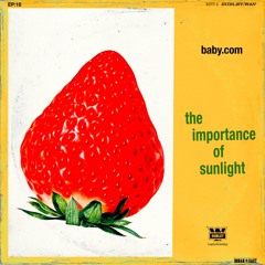 18: The Importance Of Sunlight (by baby.com)