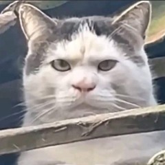 Becak Mixtape - PRIVATE