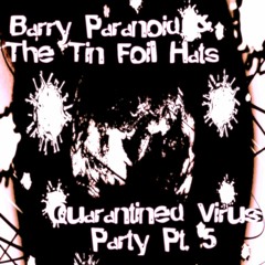 Barry Paranoid & The Tin Foil Hats - This Song Is Fucking Garbage