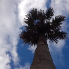 Poivre Noir, Piment Rouge DIM 2 NOV 2025