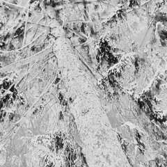 Nobody (prod. nejdos)