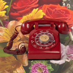 bless the telephone (cover)