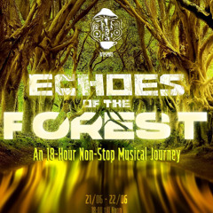 The Last Dance (Echoes Of The Forest 21-06-25)
