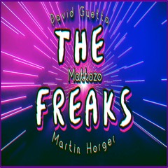 The Freaks - David Guetta & Martin Horger (Mattozo Remix)