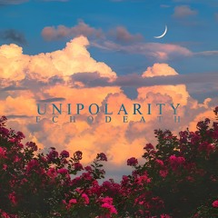 UNIPOLARITY