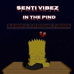 Senti Vibez In The Pind