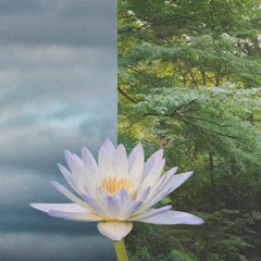 mpbanga - You Asked For Chill.wav