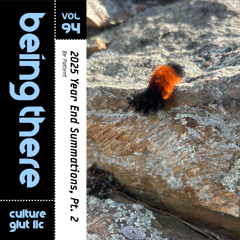 BEING THERE Vol. 94 - 2025 Year End Summations, Pt. 2: Be Patient