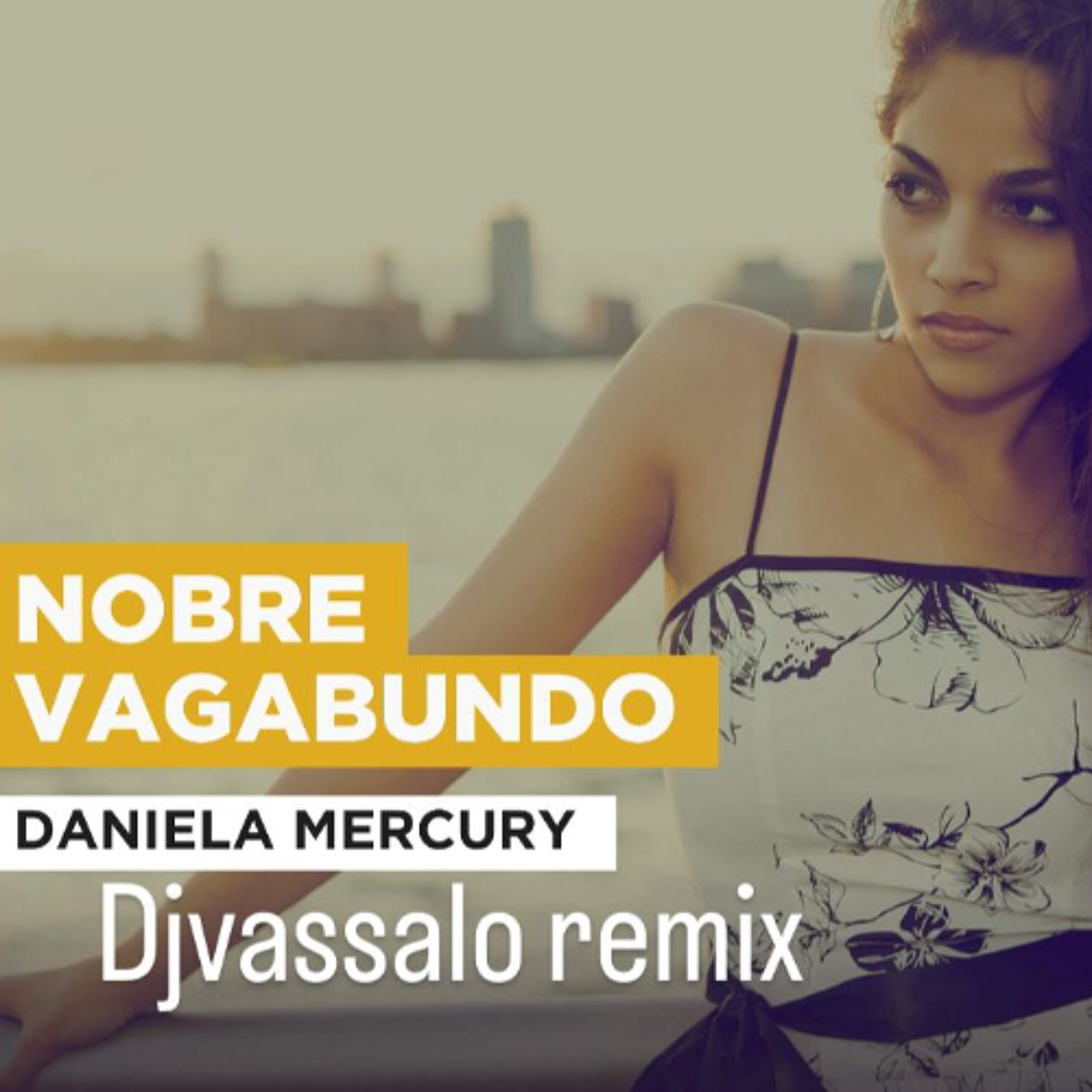 Daniela Mercury - Nobre Vagabundo ( Djvassalo remix 2025) episode artwork