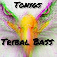 Tribal Bass.mp3