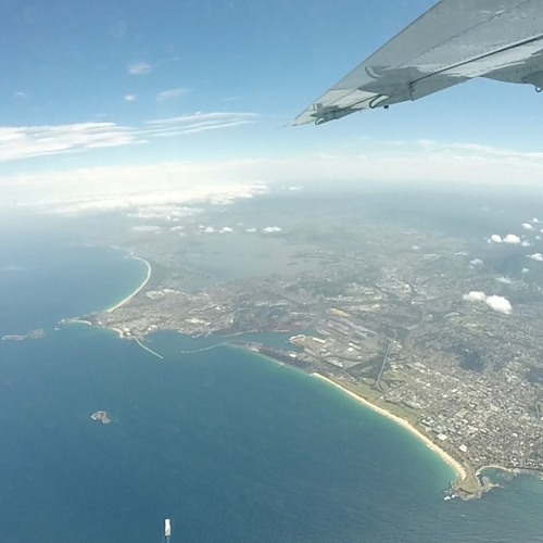 Brummer- Progressive Pulse Mix