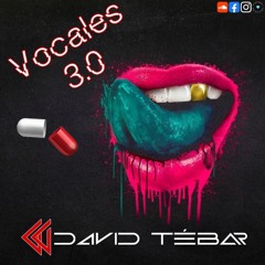 Solo vocales 3.0 @ David Tebar