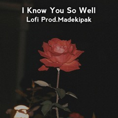 I Know You So Well [ Lofi Remix ] Prod.Madekipak ft Shiloh Dinasty