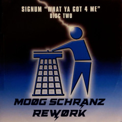 Signum - What Ya Got 4 Me (MOØG SCHRANZ REWØRK) [FREE DL]