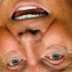 Remember The Words Of The So - Called President Trump