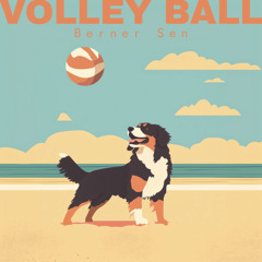 Volley Ball