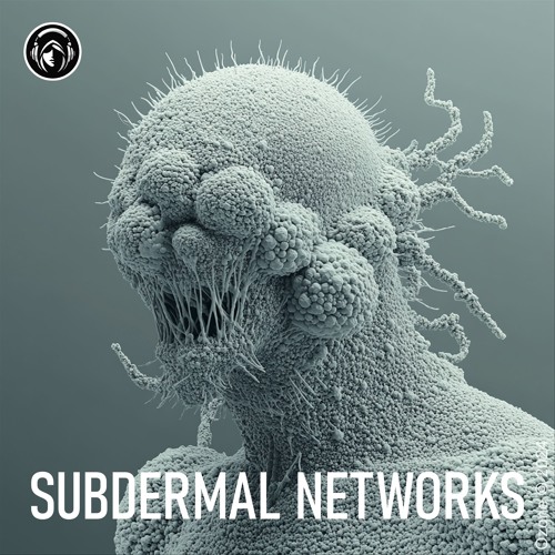 SUBDERMAL NETWORKS