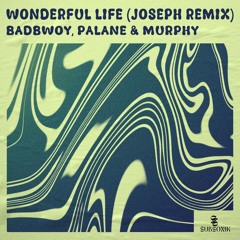 Badbwoy Palane Murphy JOSEPH CH - Wonderful Life