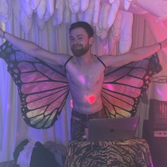 Butterfly In A Boobcave