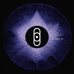 BLZS - Fell Down The Bovenkamer Stairs