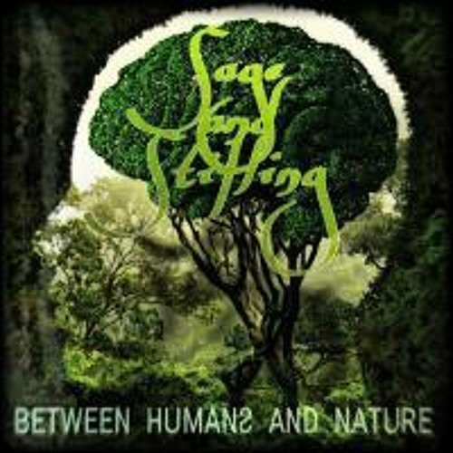Between Humans And Nature