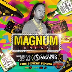 NOTORIOUS SOUND AT MAGNUM SUNDAZE 14TH APRIL.2024 (CLUB RED DRAGON)🇬🇾.mp3