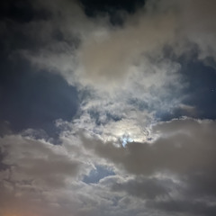 سعود الشريم