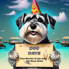 Lipy, Tony - "Dog Days are Over" Florence + the machine (Rework Afrohouse Remix) - (FREE DWNLD)